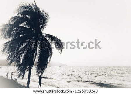 Coconut trees by the sea Sunshine in the evening and light sea waves. Black or white watercolor picture.