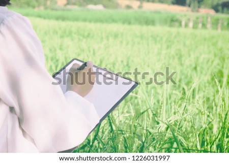 Asian women working job and note growth rice in farm rice in the morning.color tone