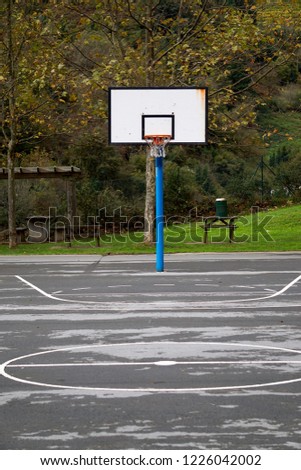 the basketball sport