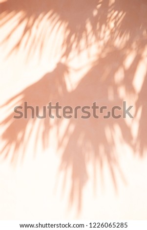 abstract shadow background of tree leaves on pastel tone wall. Royalty-Free Stock Photo #1226065285