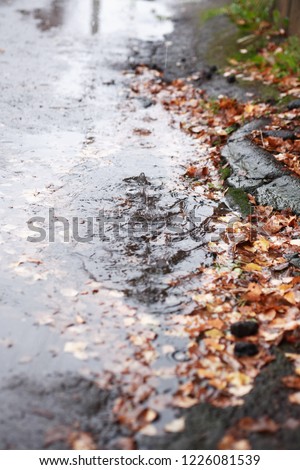 Autumn background. Puddle with falling leaves on pavement under 
