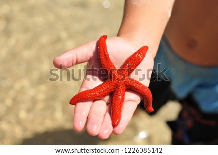 star sand hand