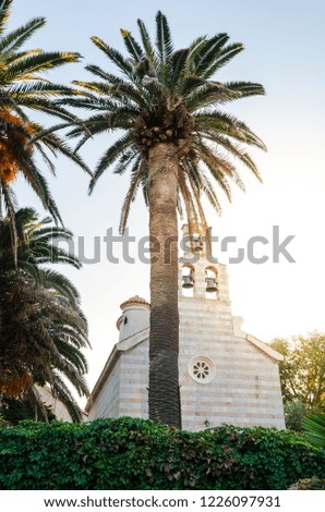 Old Church on the background of palm trees with a tower and bell tower in the old town.