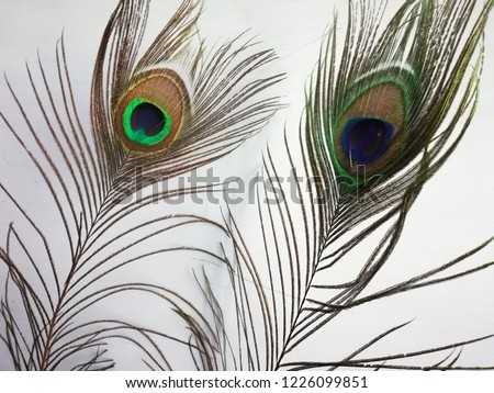 Peacock Feather colourful decorations 
