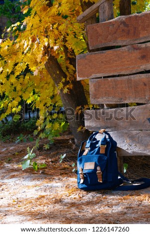 Blue backpack with signs and tree in autumn.
