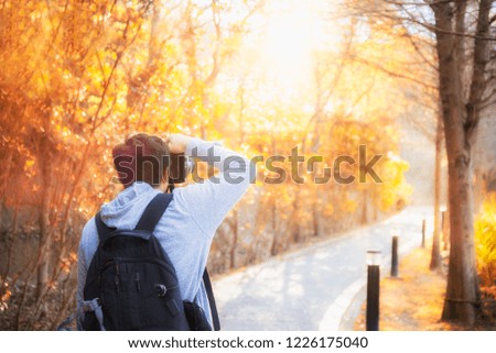 Photographer or Traveller using a professional DSLR camera take photo beautiful landscape of autumn forest view, Recreation and outdoor travel concept.