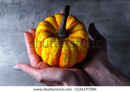 photo of decorative pumpkin