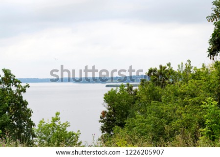 Beautiful panoramic view of green trees and the river on a background of a cloudy gray sky on a summer day. Natural layout
