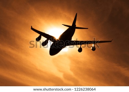 the plane in the sky at sunset. air transportation, air transport.