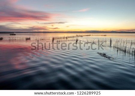sunset in the lagoon of valencia, Albufera