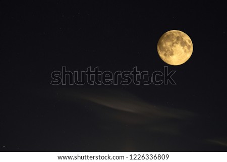 Photo of lonely moon