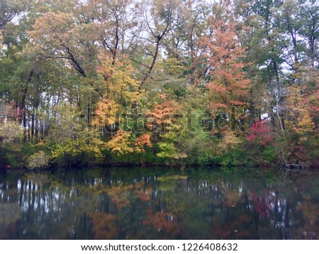 Fall foliage by lake Royalty-Free Stock Photo #1226408632