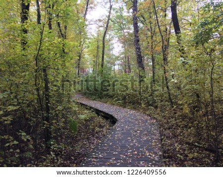 Path in fall woods Royalty-Free Stock Photo #1226409556