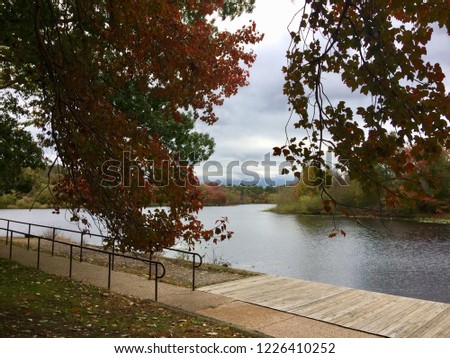 Path near lake in New Jersey woods Royalty-Free Stock Photo #1226410252