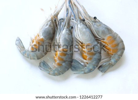 top view and close up  fresh  Shrimps on white background  