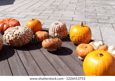 Halloween Pumpkin Orange