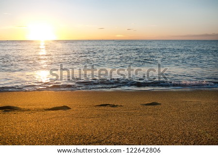 Golden coastline in rays of the rising sun