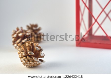                Concept for Christmass and New year of cones and part of red lantern on a blurred background. Copy space.                