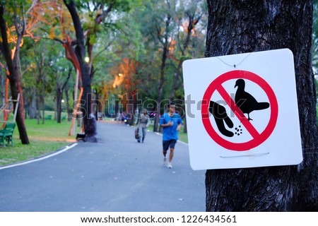 A signboard of do not feed any foods for a pigeon bird along the park area with blur a male jogging on the road and green nature background 
