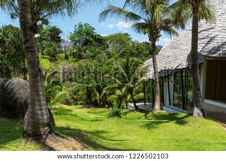 view of the Villa among the palm trees in the jungle