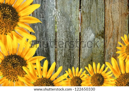 Sun flower frame