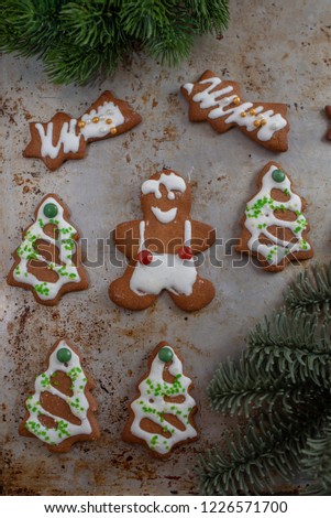 home made Gingerbread Cookies