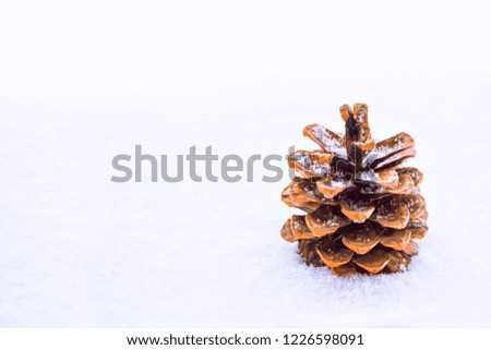 Christmas card. Pine cone in the snow.