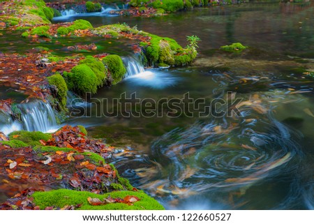 Peacefully flowing stream and autumn foliage in the forest in the mountains