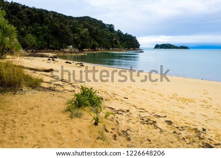 Desert tropical island beach, peaceful and calm landscape. Coquille Bay, Abel Tasman National Park, New Zealand