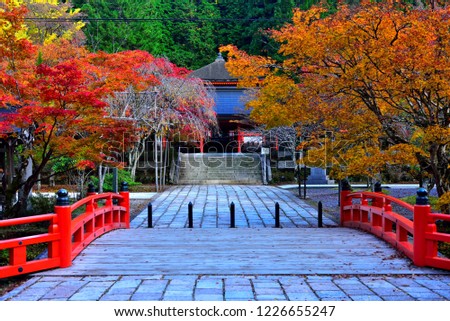 Autumn Leave at Japanese Temple, Koyasan.