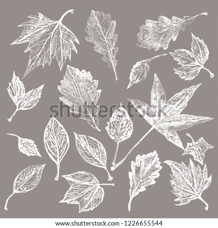 Autumn leaves.Watercolor illustration.