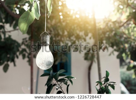 Light bulb in the garden at sunset, image with retro filter, moody  picture