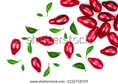Red berries of cornel or dogwood decorated with leaves isolated on white background. Top view. Flat lay