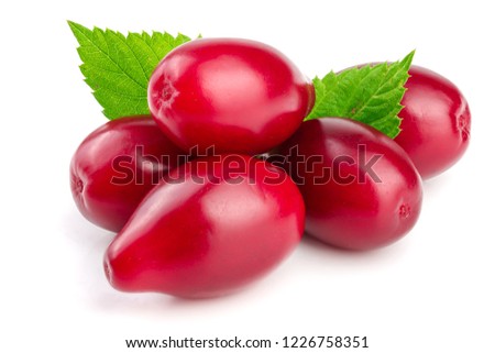 Red berries of cornel or dogwood with leaf isolated on white background