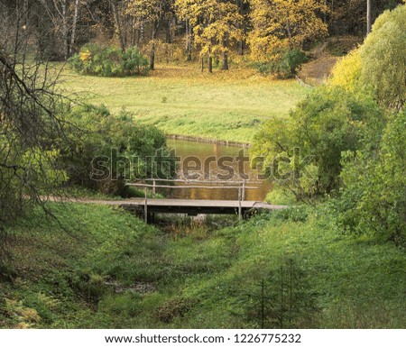Wooden bridge over the river and autumn forest in the background