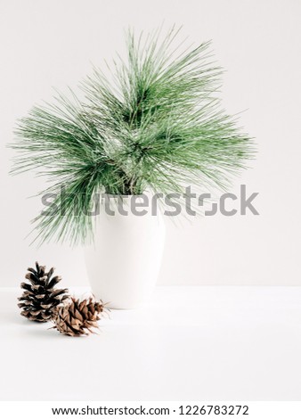 Home Decor, Interior. Vase with fir branches, cones, Christmas decorations on white table.