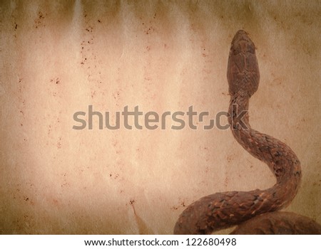 snake on old grunge paper texture background