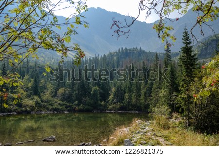 mountain lake panorama view in late summer in Slovakian Carpathian Tatra with reflections of rocky hills in water. Rohacske plesa lakes near Zverovka village.