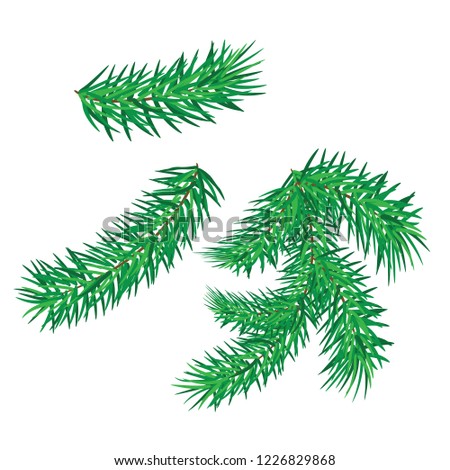 Tree green, Leaves and Christmas branches on a white background. Christmas vector illustration.