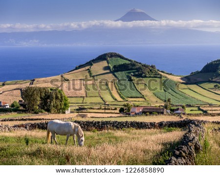 Image of landscape in the foreground and the mountain of Pico in the background