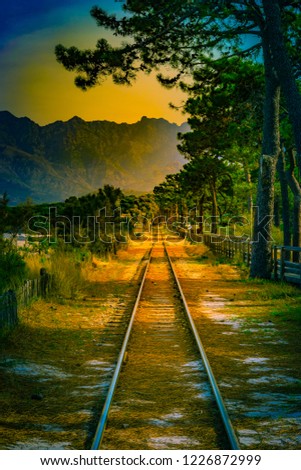 Railroad in Calvi among pines, Corsica island, France. Beautiful travel picture of famous turist destination.