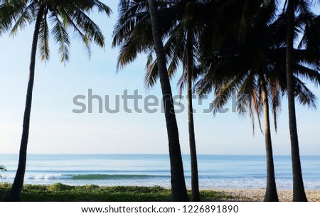 Coconut trees are very ueatiful on Mea Pim beach, Thailand.  the solfly sunrise on the morning time give the sea very clean and  good view of coconit trees.