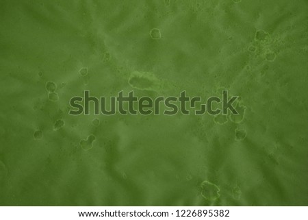 Green grunge paper texture. Vintage background for design and scrapbooking. Old, compressed and crumpled effect.