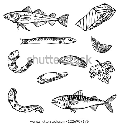 Hand-drawn set of seafood. Vector cartoon illustration. Isolated objects on a white bacgkround. Fresh food. 