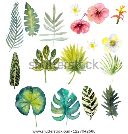 Set of watercolor colorful tropical leaves. 17 clipart for your creativity