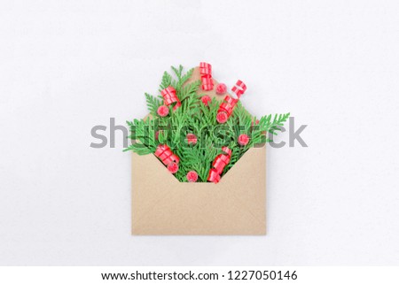 Twigs of coniferous tree in envelope. New years card spruce branch with holly berries on white background