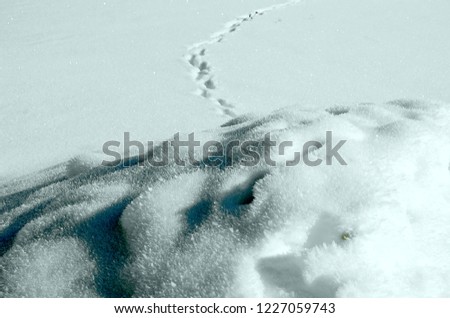 snowdrift. winter landscape. blurred image of a path in the snow.  The texture of the snow.