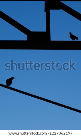 Silhouettes of doves sitting on metal constructions against blue sky