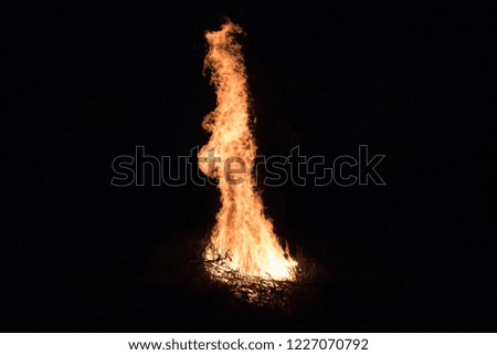 A wonderful fire that broke out at night and reached three meters high and burned a bunch of dry branches.