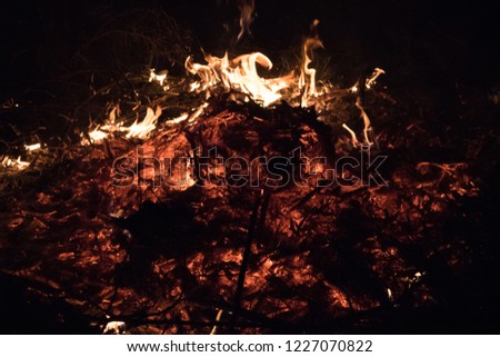 A wonderful fire that broke out at night and reached three meters high and burned a bunch of dry branches.